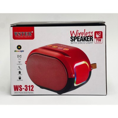 WSTER RADIO WS-312-1